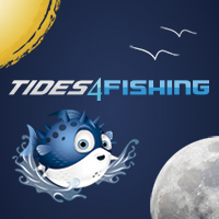 Tide table and solunar tables for fishing